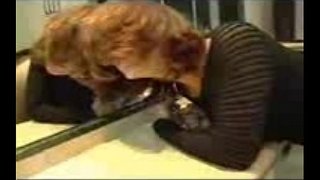 מאַסטערביישאַן און באַגער